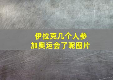 伊拉克几个人参加奥运会了呢图片