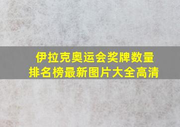 伊拉克奥运会奖牌数量排名榜最新图片大全高清