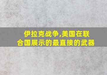 伊拉克战争,美国在联合国展示的最直接的武器