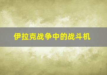 伊拉克战争中的战斗机