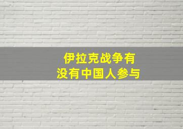 伊拉克战争有没有中国人参与