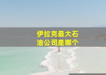 伊拉克最大石油公司是哪个