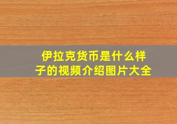 伊拉克货币是什么样子的视频介绍图片大全