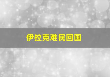 伊拉克难民回国