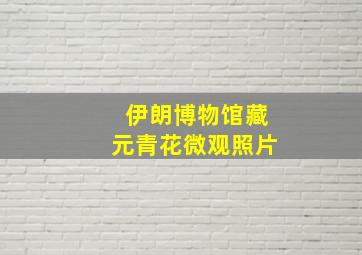 伊朗博物馆藏元青花微观照片