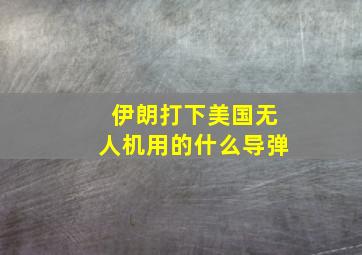 伊朗打下美国无人机用的什么导弹