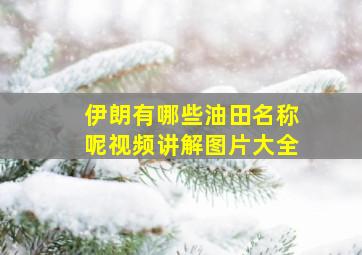 伊朗有哪些油田名称呢视频讲解图片大全