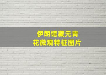 伊朗馆藏元青花微观特征图片