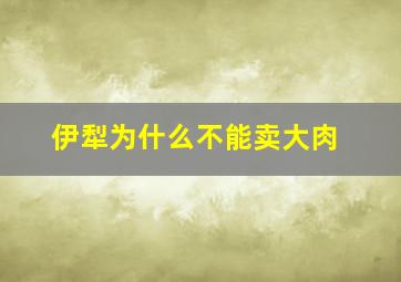 伊犁为什么不能卖大肉