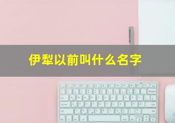 伊犁以前叫什么名字