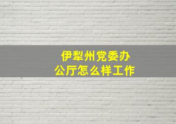 伊犁州党委办公厅怎么样工作