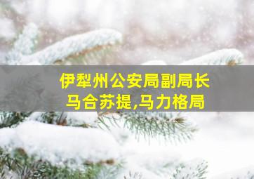 伊犁州公安局副局长马合苏提,马力格局