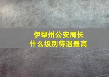 伊犁州公安局长什么级别待遇最高