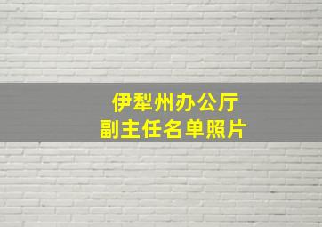 伊犁州办公厅副主任名单照片