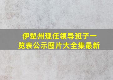 伊犁州现任领导班子一览表公示图片大全集最新