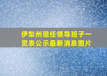 伊犁州现任领导班子一览表公示最新消息图片