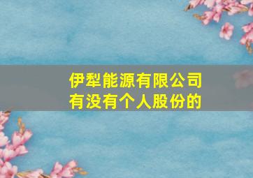 伊犁能源有限公司有没有个人股份的