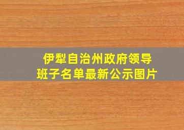 伊犁自治州政府领导班子名单最新公示图片