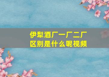 伊犁酒厂一厂二厂区别是什么呢视频