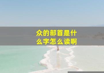 众的部首是什么字怎么读啊