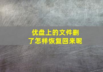 优盘上的文件删了怎样恢复回来呢