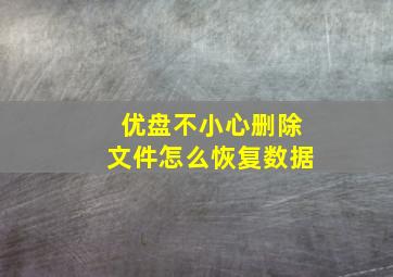 优盘不小心删除文件怎么恢复数据