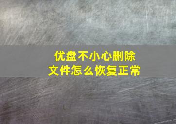 优盘不小心删除文件怎么恢复正常