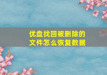 优盘找回被删除的文件怎么恢复数据