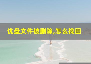 优盘文件被删除,怎么找回