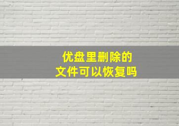 优盘里删除的文件可以恢复吗