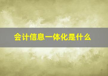 会计信息一体化是什么