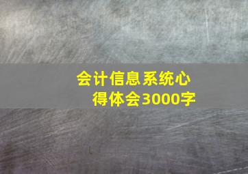 会计信息系统心得体会3000字