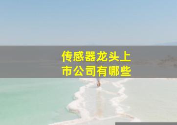 传感器龙头上市公司有哪些