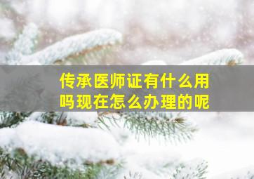 传承医师证有什么用吗现在怎么办理的呢