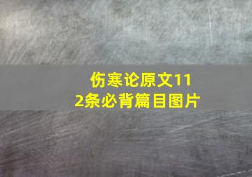 伤寒论原文112条必背篇目图片