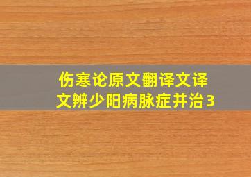 伤寒论原文翻译文译文辨少阳病脉症并治3