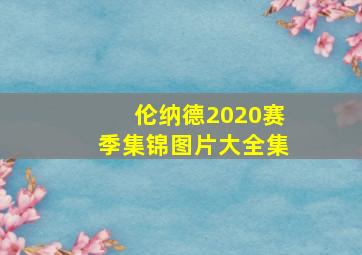 伦纳德2020赛季集锦图片大全集