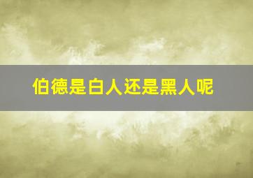 伯德是白人还是黑人呢