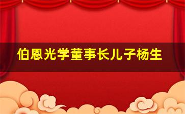 伯恩光学董事长儿子杨生