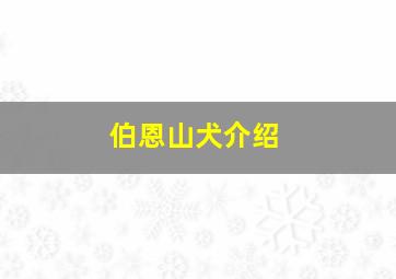 伯恩山犬介绍