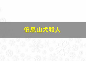 伯恩山犬和人