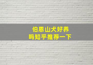 伯恩山犬好养吗知乎推荐一下