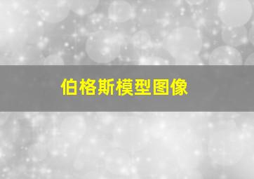 伯格斯模型图像