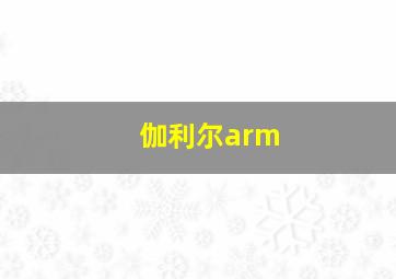 伽利尔arm