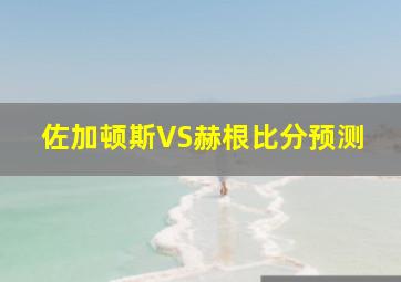 佐加顿斯VS赫根比分预测