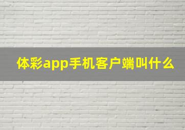 体彩app手机客户端叫什么