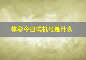 体彩今日试机号是什么