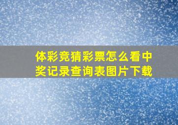 体彩竞猜彩票怎么看中奖记录查询表图片下载