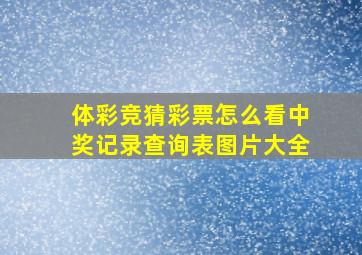 体彩竞猜彩票怎么看中奖记录查询表图片大全