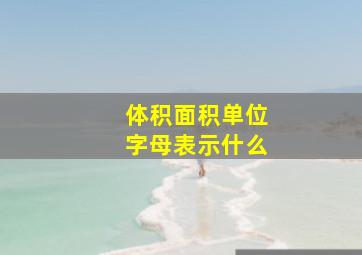 体积面积单位字母表示什么